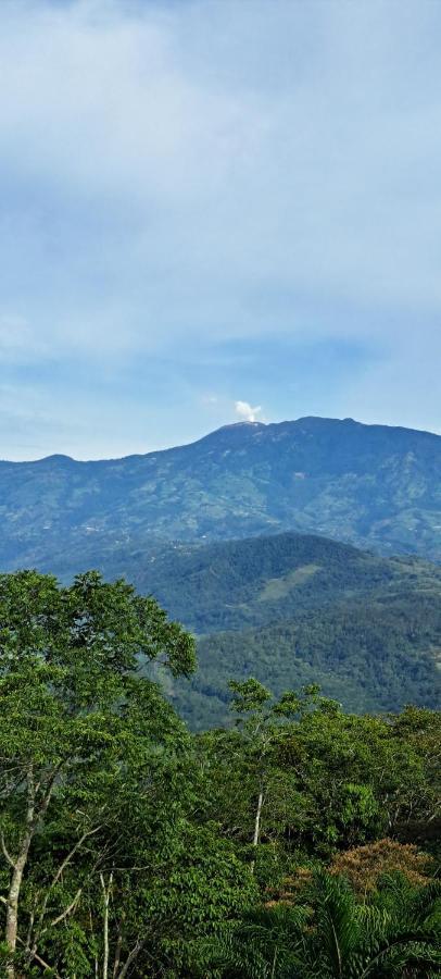Pochotel Turrialba Dış mekan fotoğraf