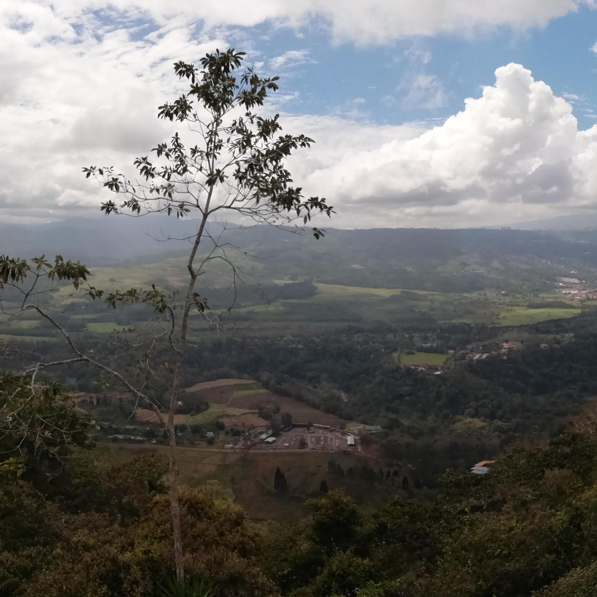 Pochotel Turrialba Dış mekan fotoğraf