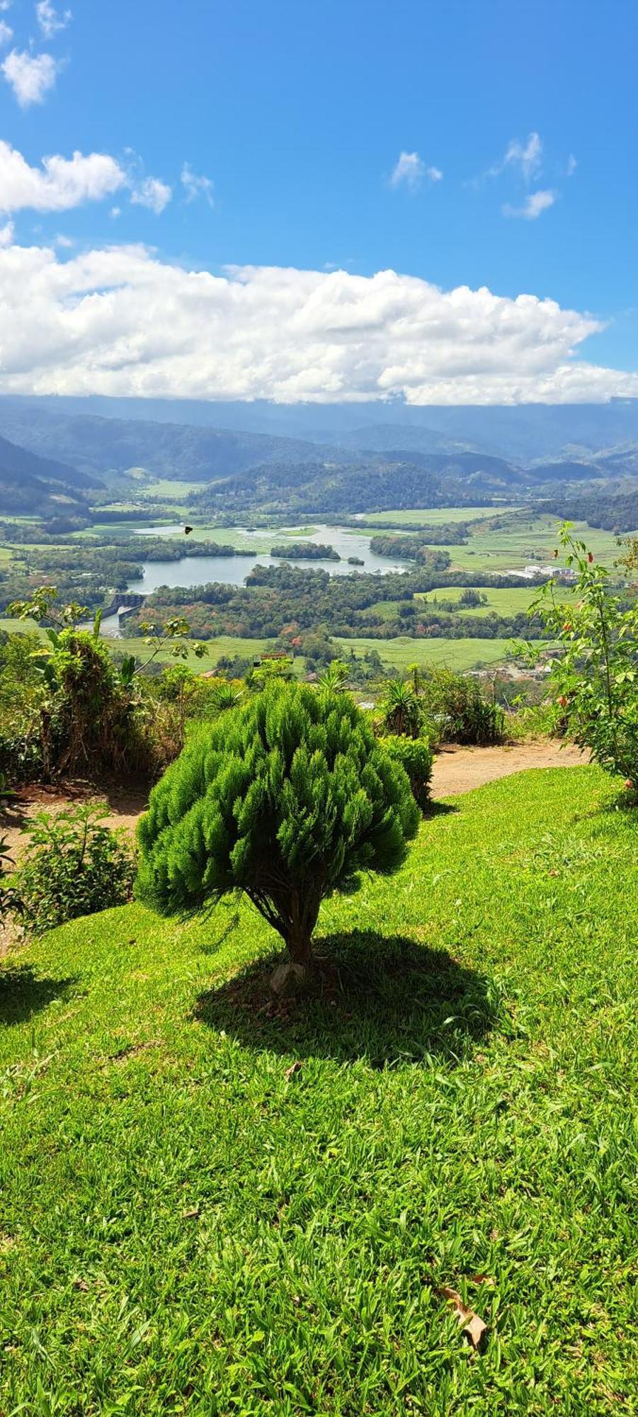 Pochotel Turrialba Oda fotoğraf
