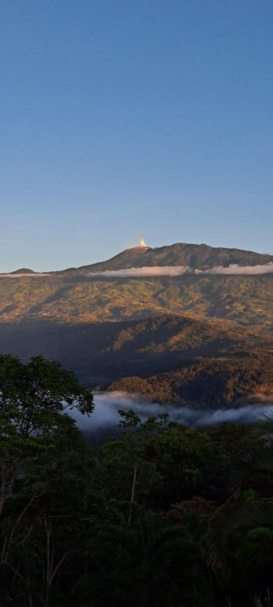 Pochotel Turrialba Oda fotoğraf