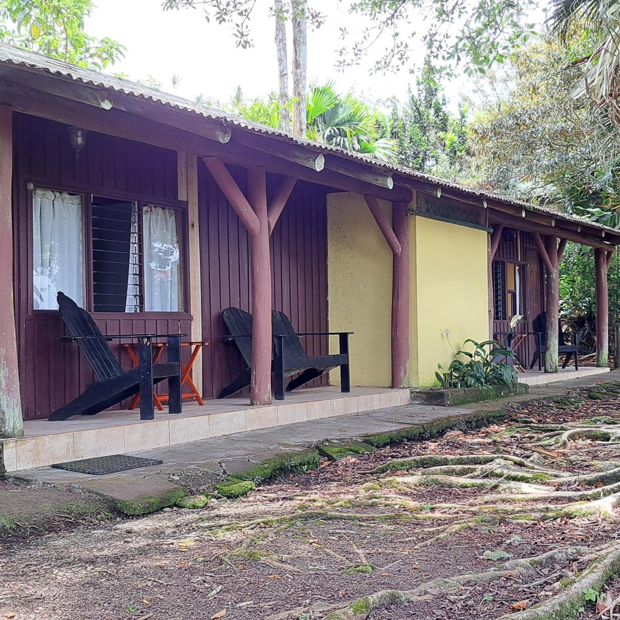 Pochotel Turrialba Dış mekan fotoğraf
