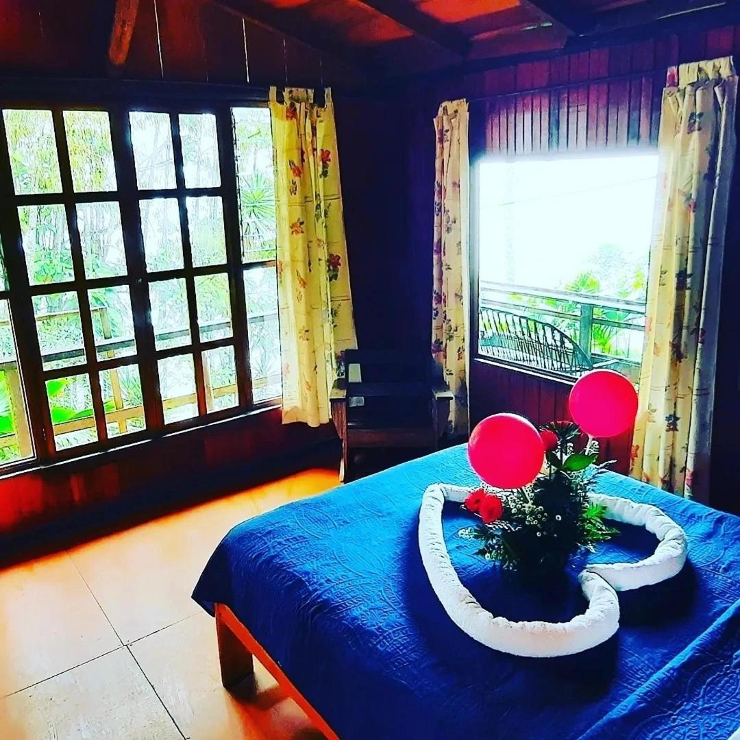Pochotel Turrialba Oda fotoğraf
