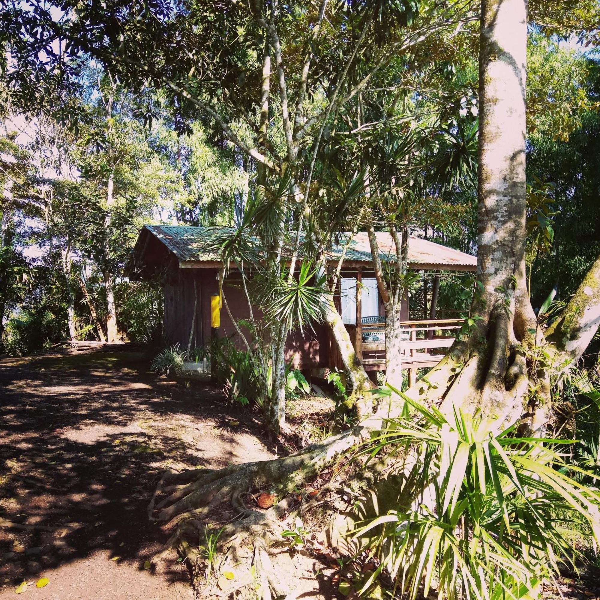Pochotel Turrialba Oda fotoğraf
