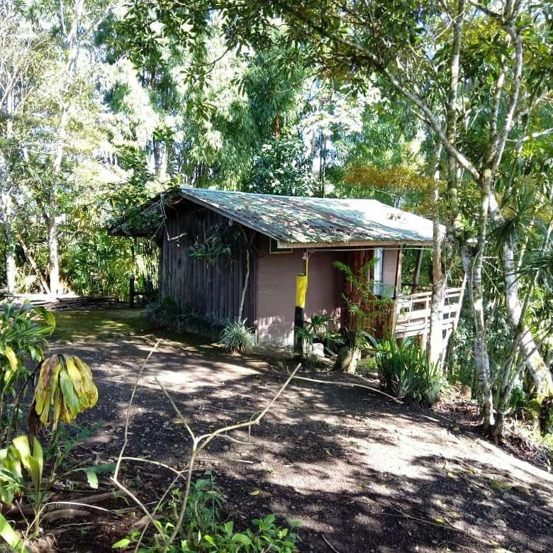 Pochotel Turrialba Dış mekan fotoğraf